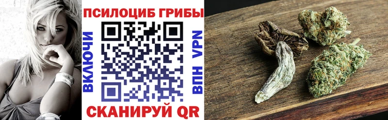 Псилоцибиновые грибы мухоморы  kraken сайт  Арск 